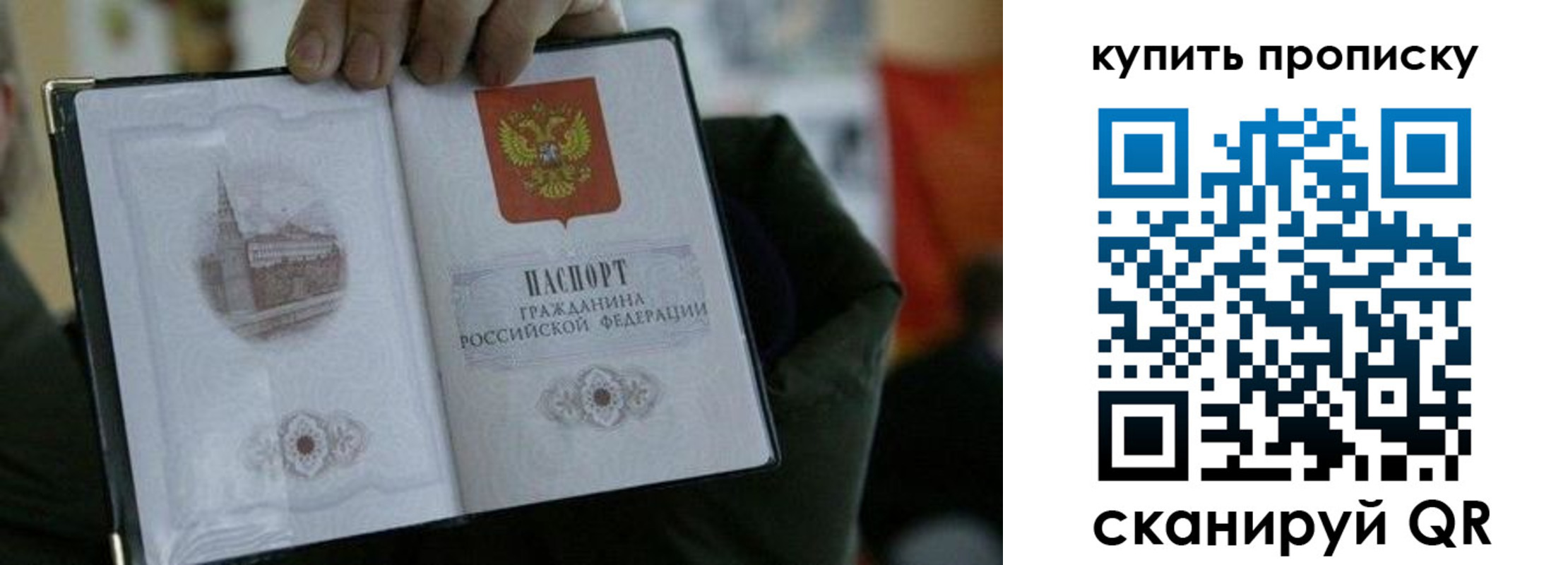 временная регистрация поиск в Тереке